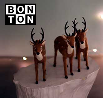 Bonton sélection de Noël