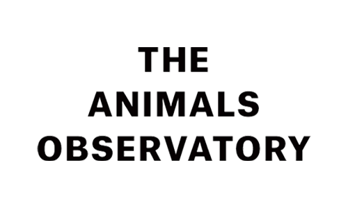 The Animals Observatory