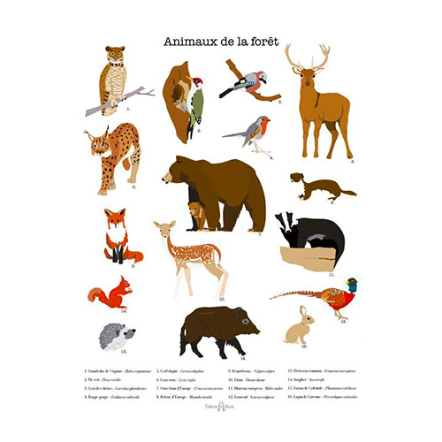 Poster les animaux de la forêt