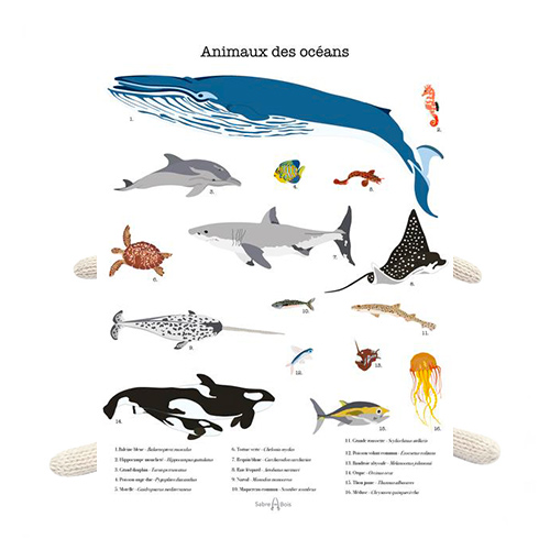 Poster les animaux des océans