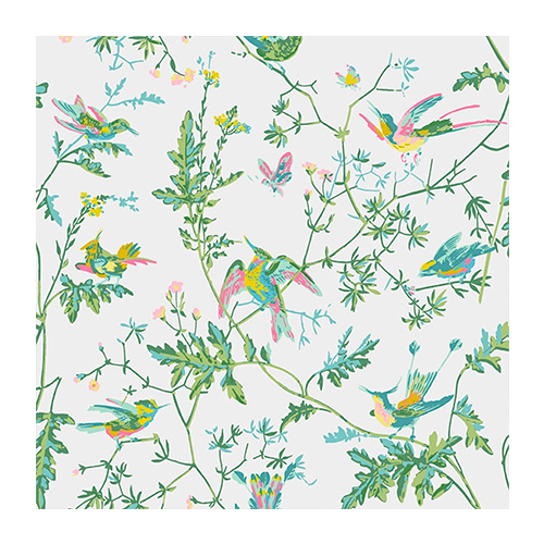 Papier peint Hummingbirds