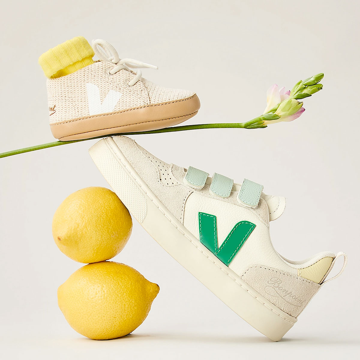 Bonpoint x Veja